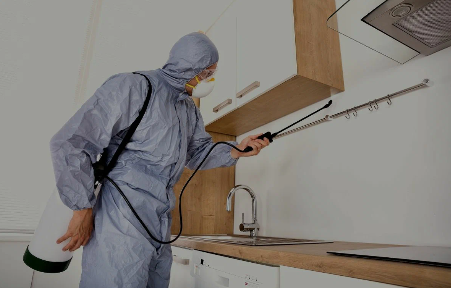 Pico Rivera pest managment